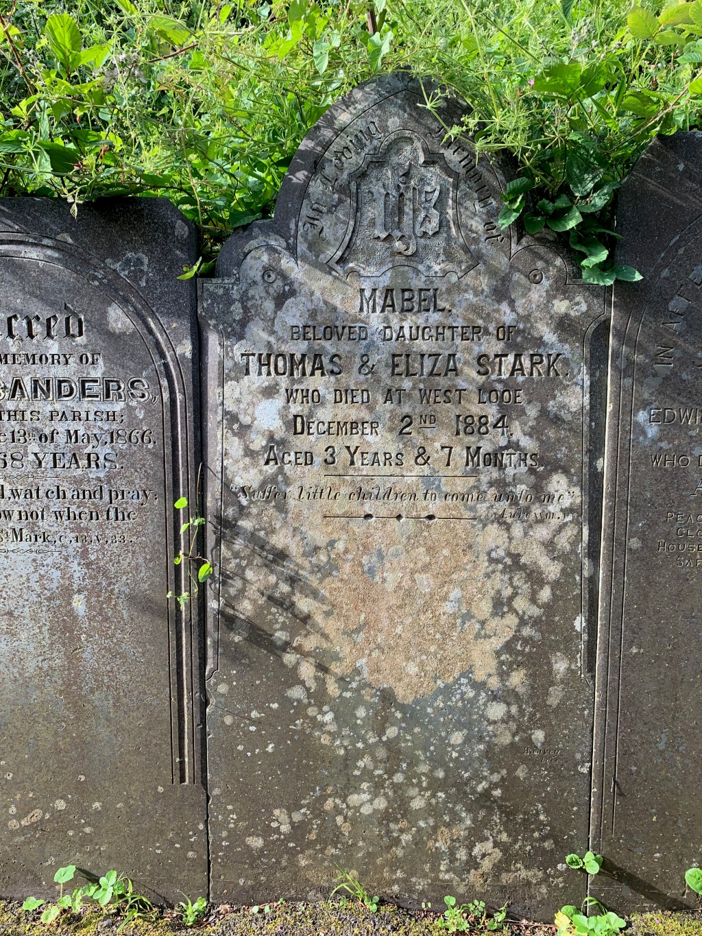 Mabel Stark 1881-1884