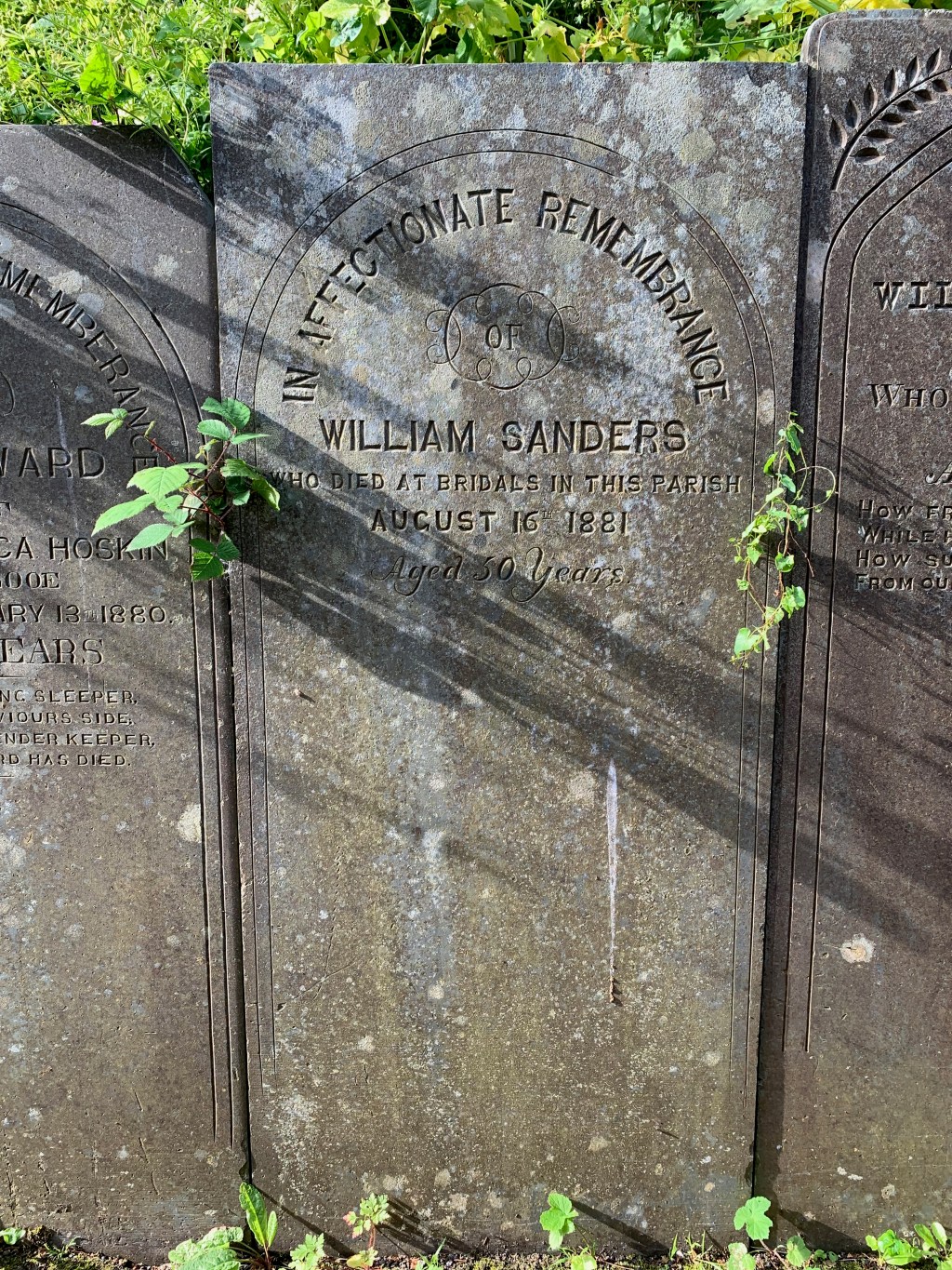 William Sanders 1831-1881