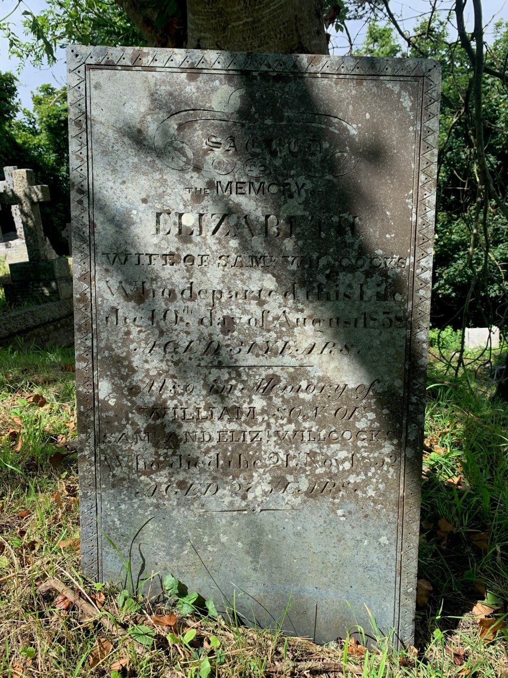 William Willcocks 1825-1852