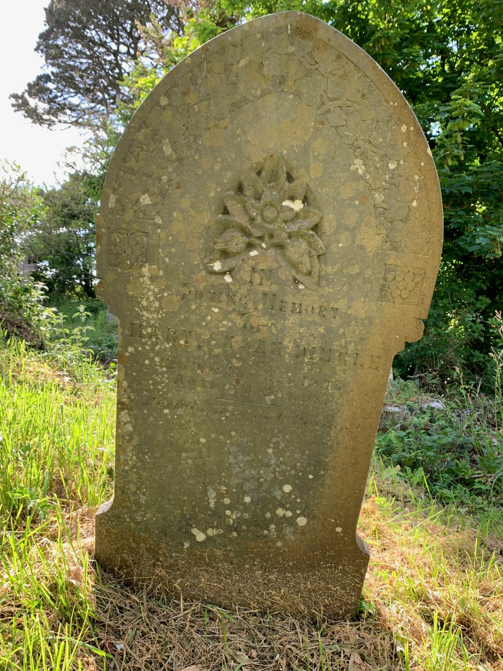 Mary Susan Dingle&nbsp;1846-1926