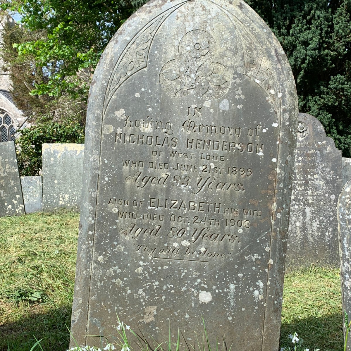 Nicholas Henderson 1816-1899