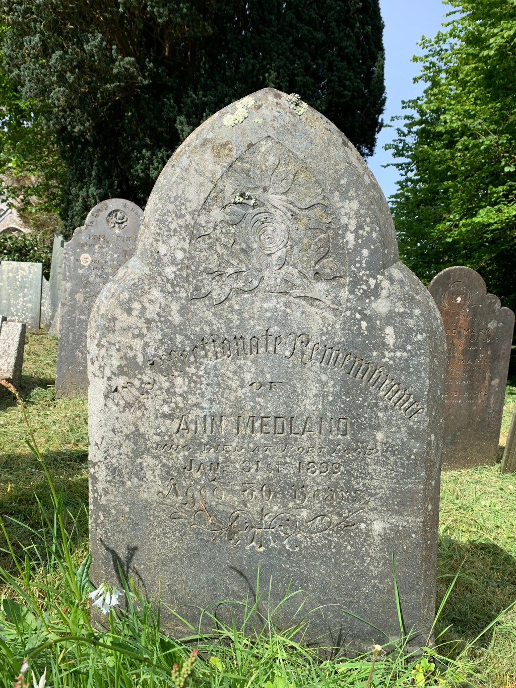 Ann Medland 1819-1899