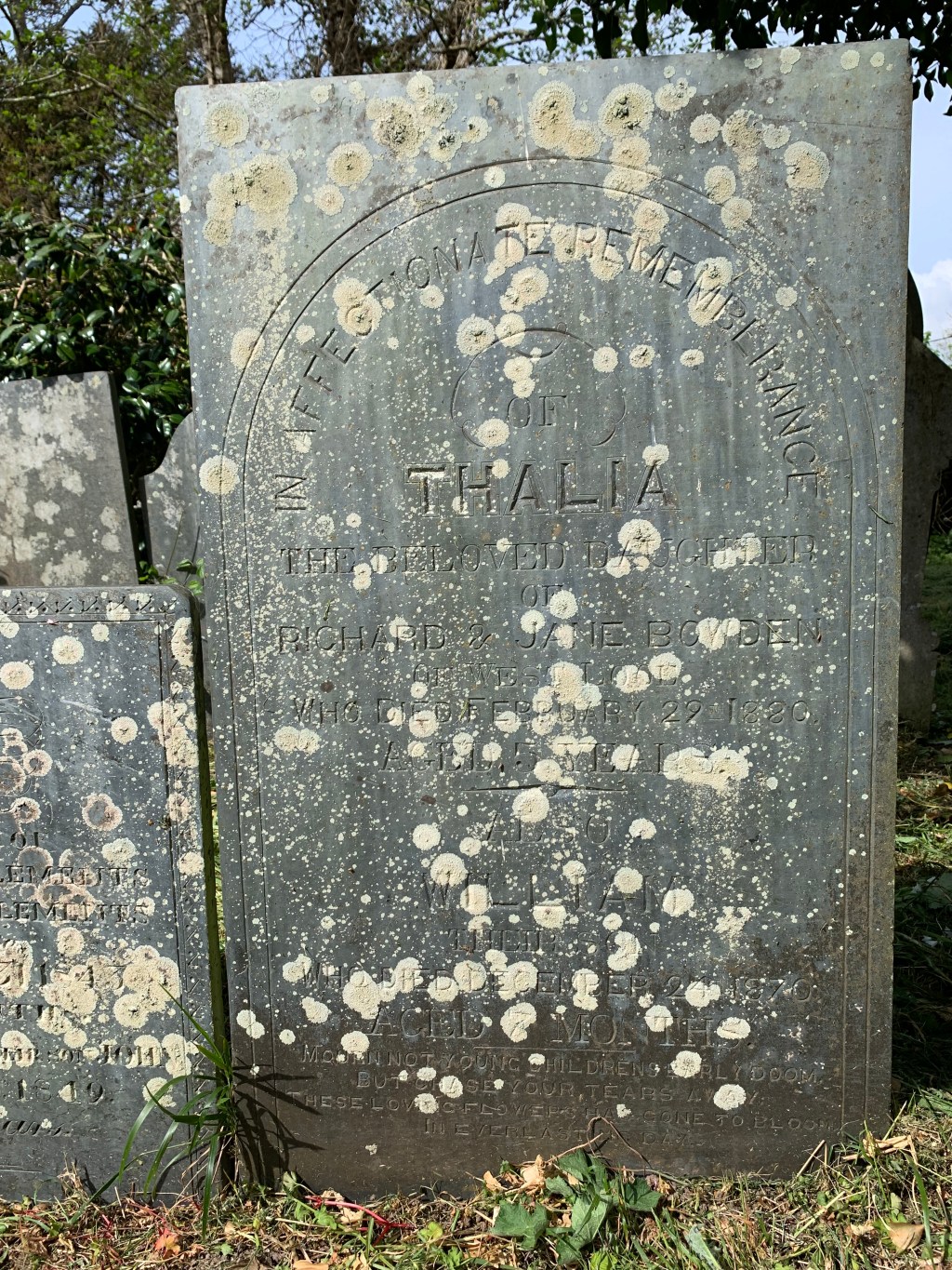 Thalia Bowden 1875-1880