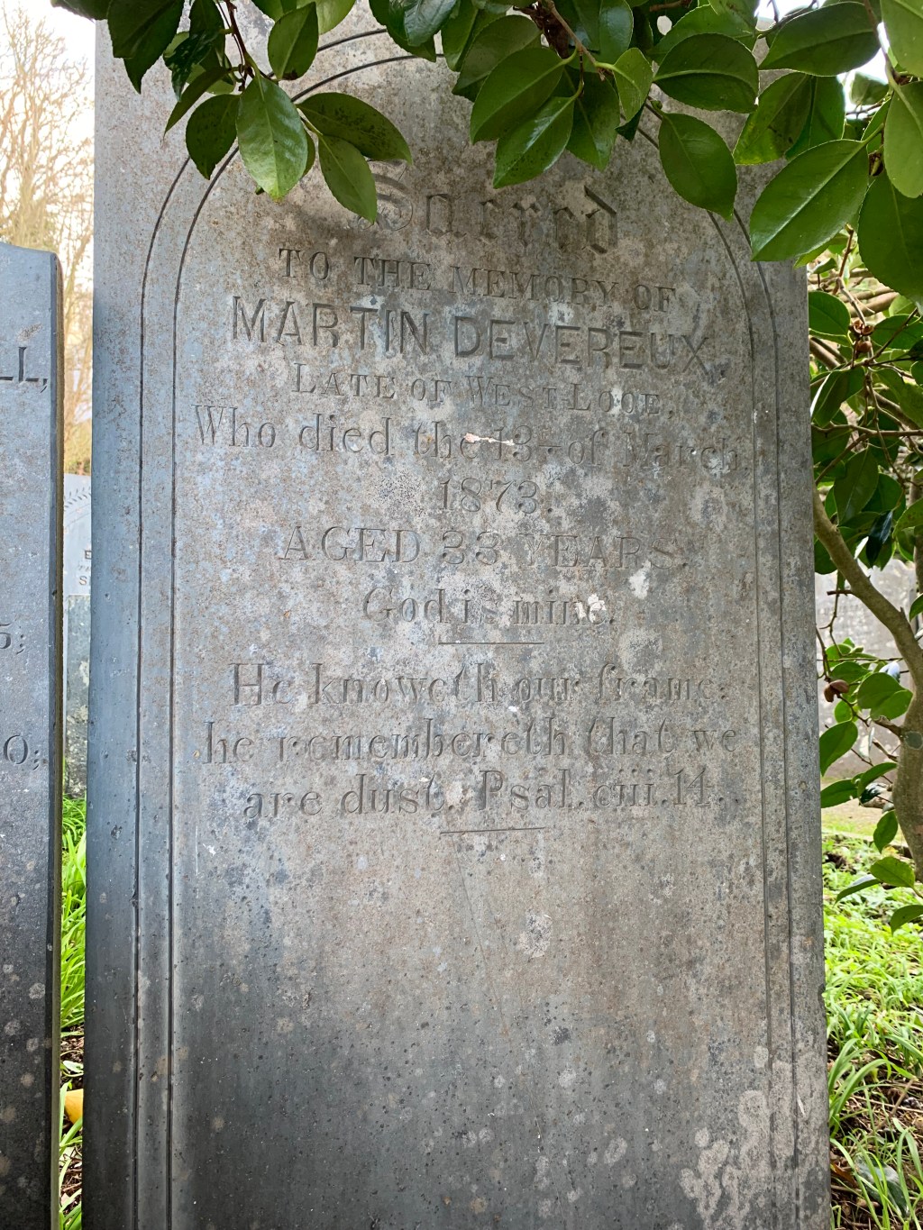 Martin Devereux 1840-1873