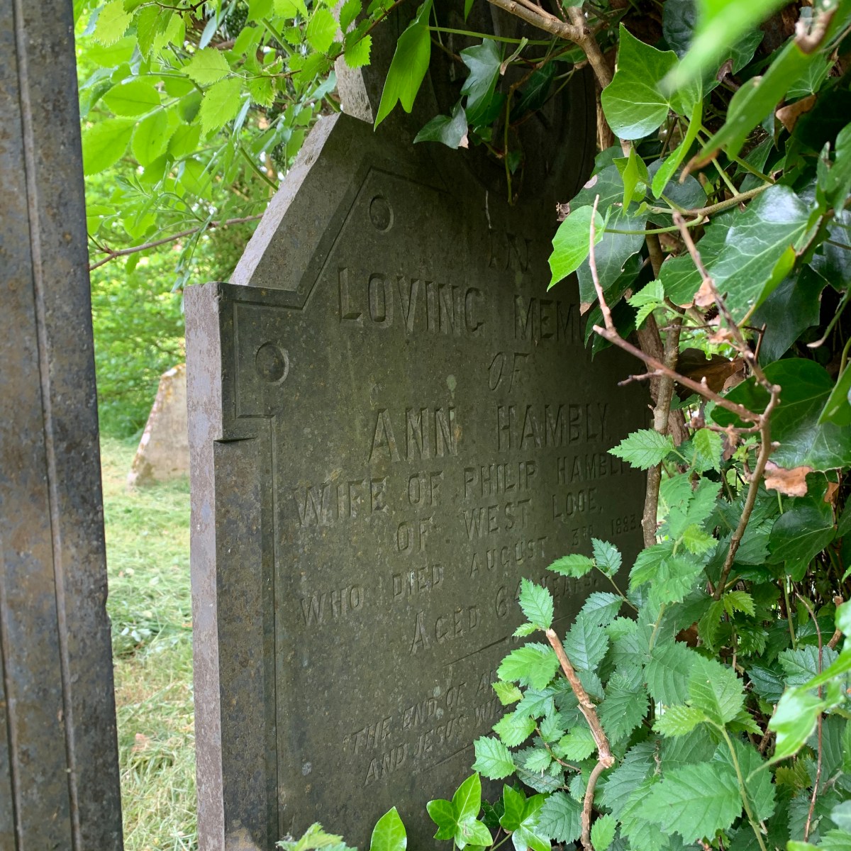 Ann Hambly 1819-1883