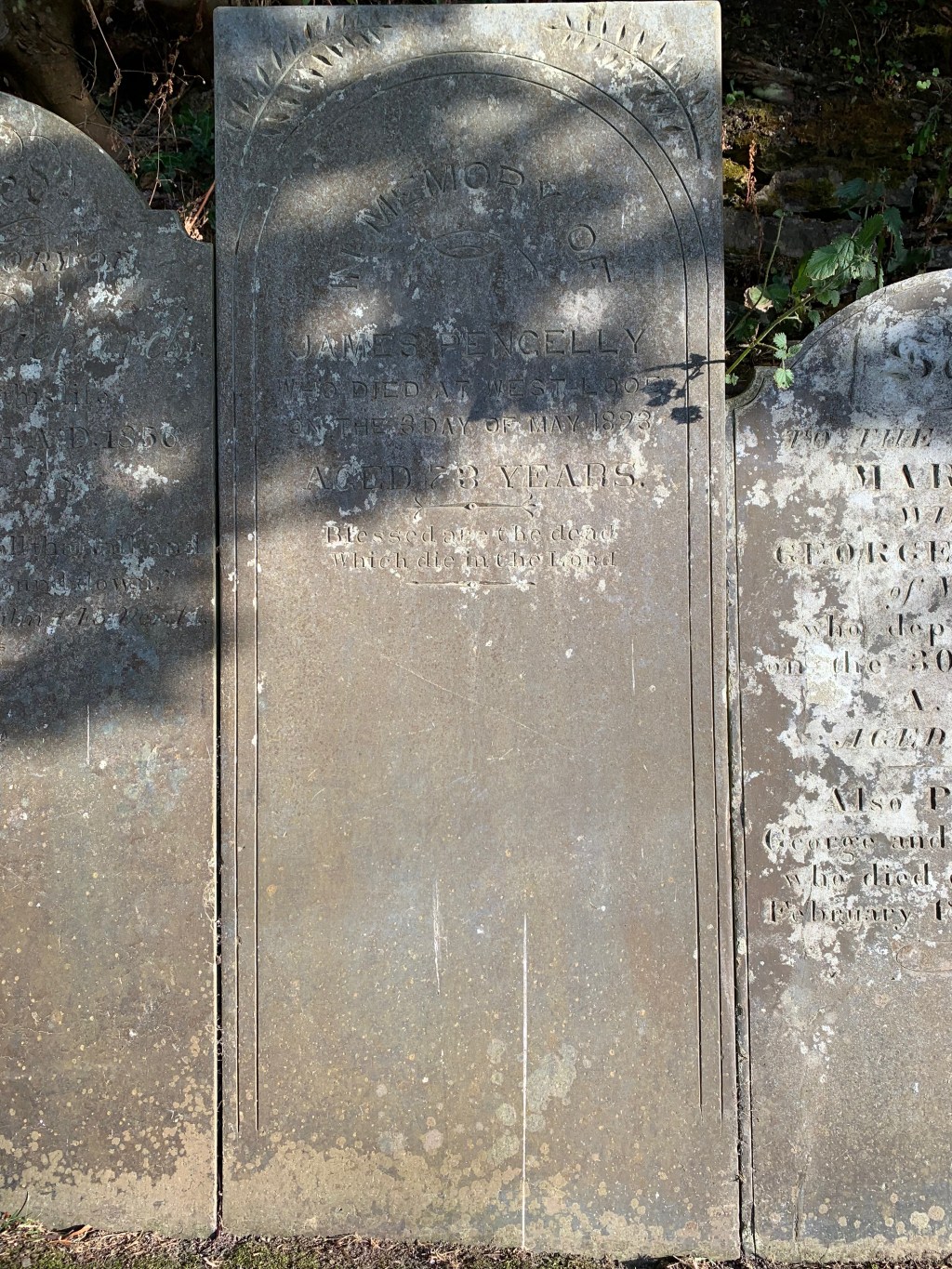 James Pengelly 1820-1893