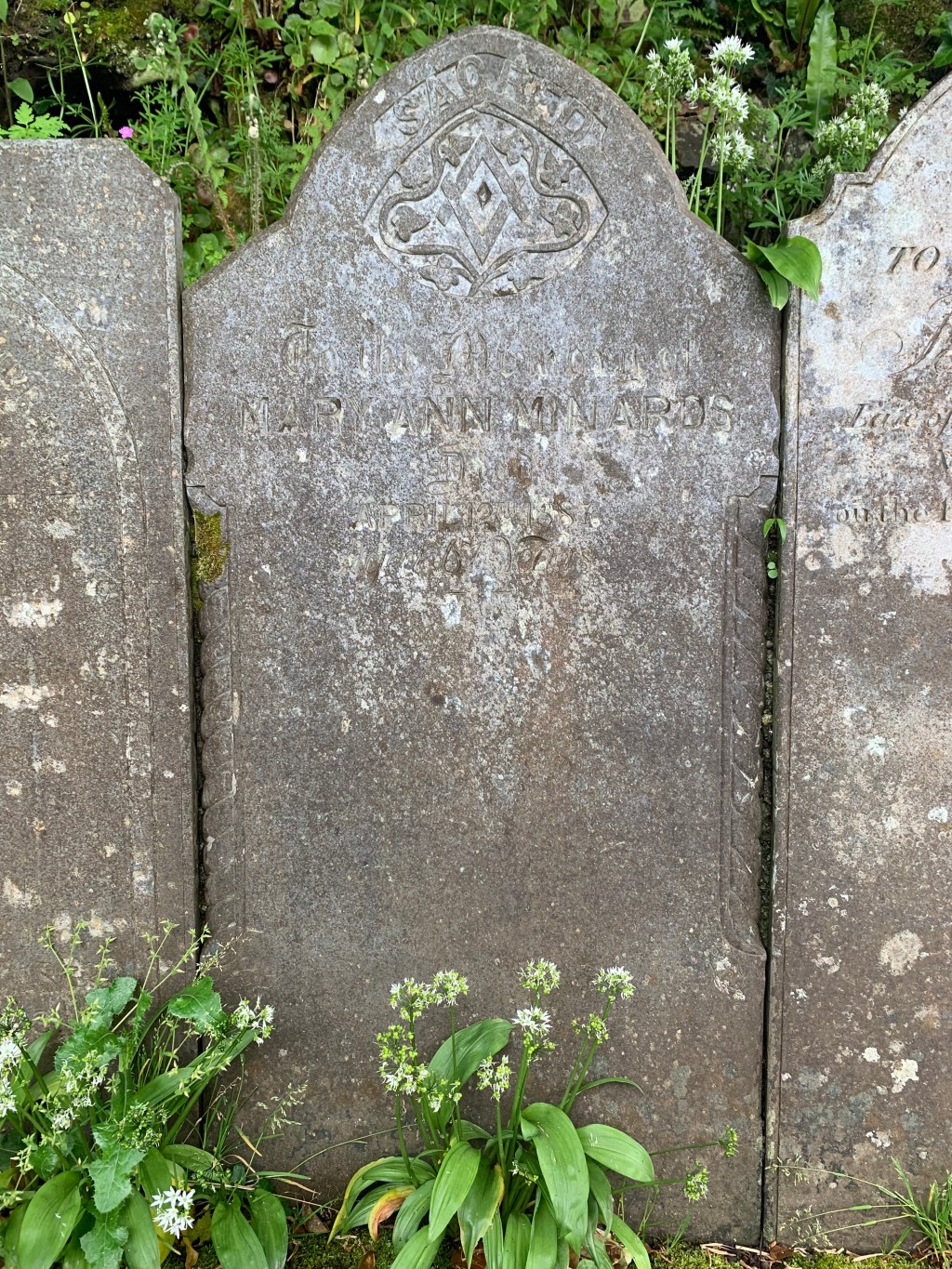 Mary Ann Minards 1820-1887