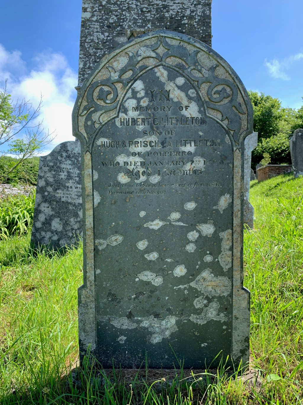 Hubert C Littleton&nbsp;1879-1880