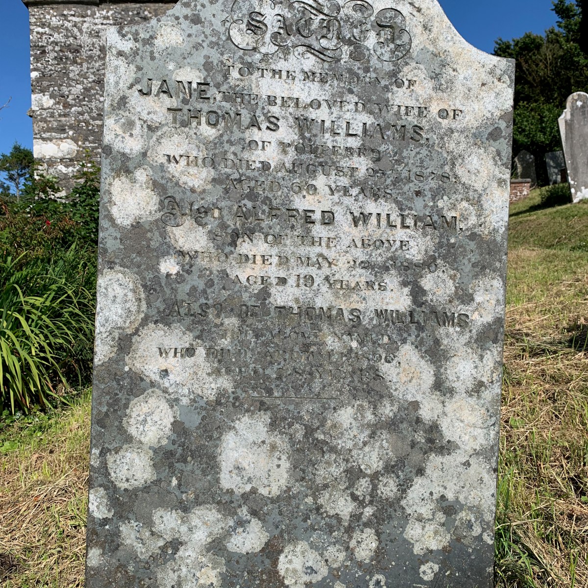 Jane Williams 1818-1878