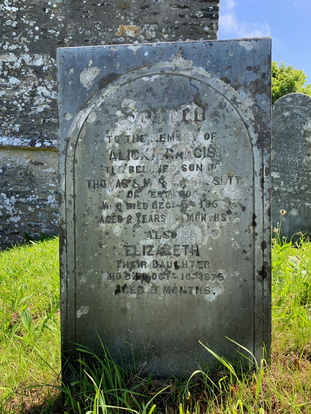 Elizabeth Bassett 1875-1875