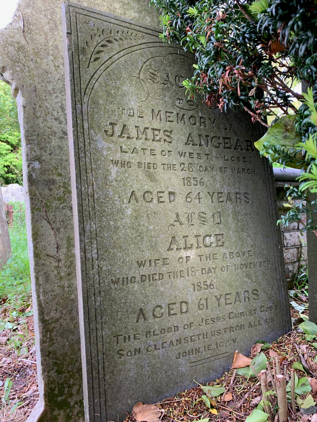 Alice Angear 1795-1856