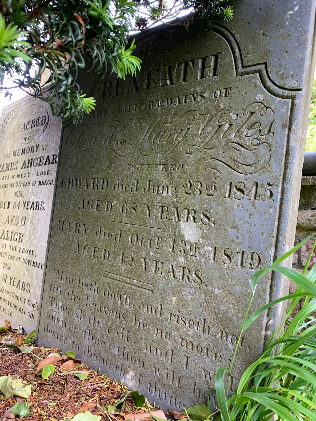 Mary Giles 1777-1819