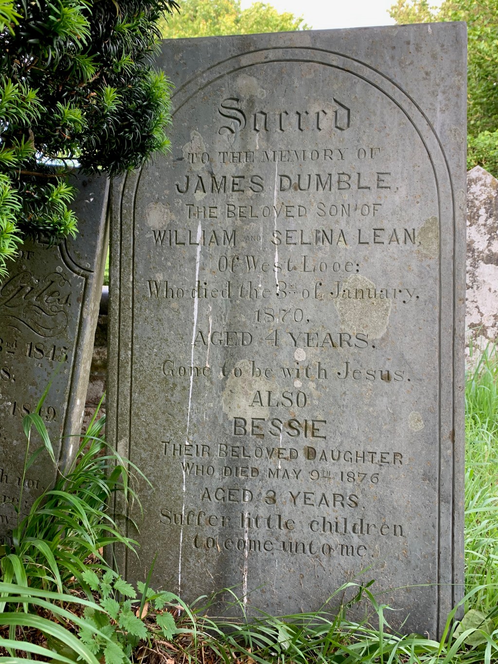 Bessie Lean 1873-1876