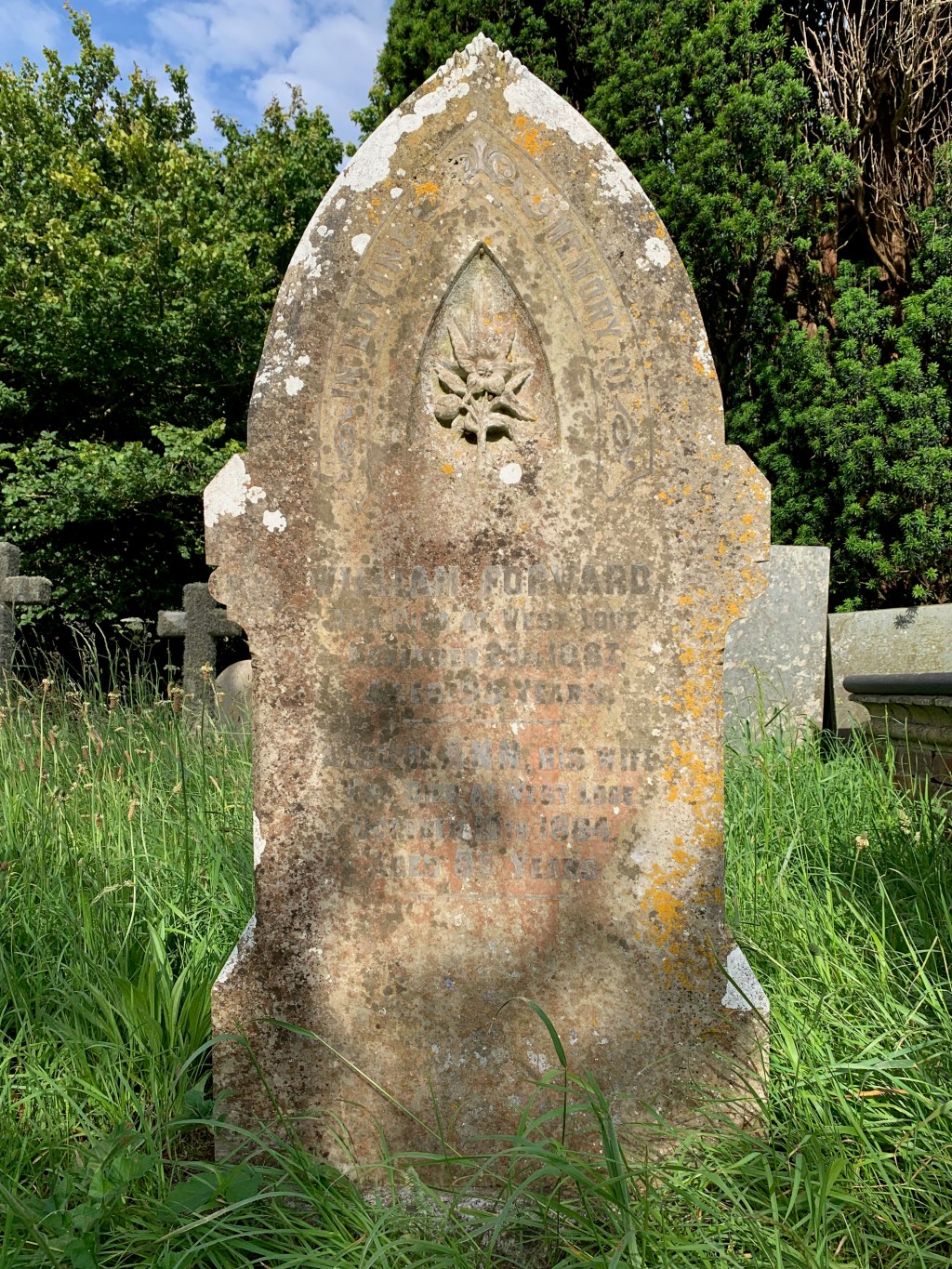 Ann Forward 1799-1884