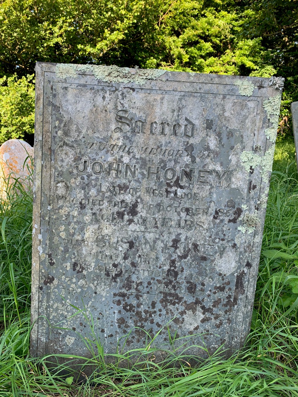 Susan Honey 1812-1878