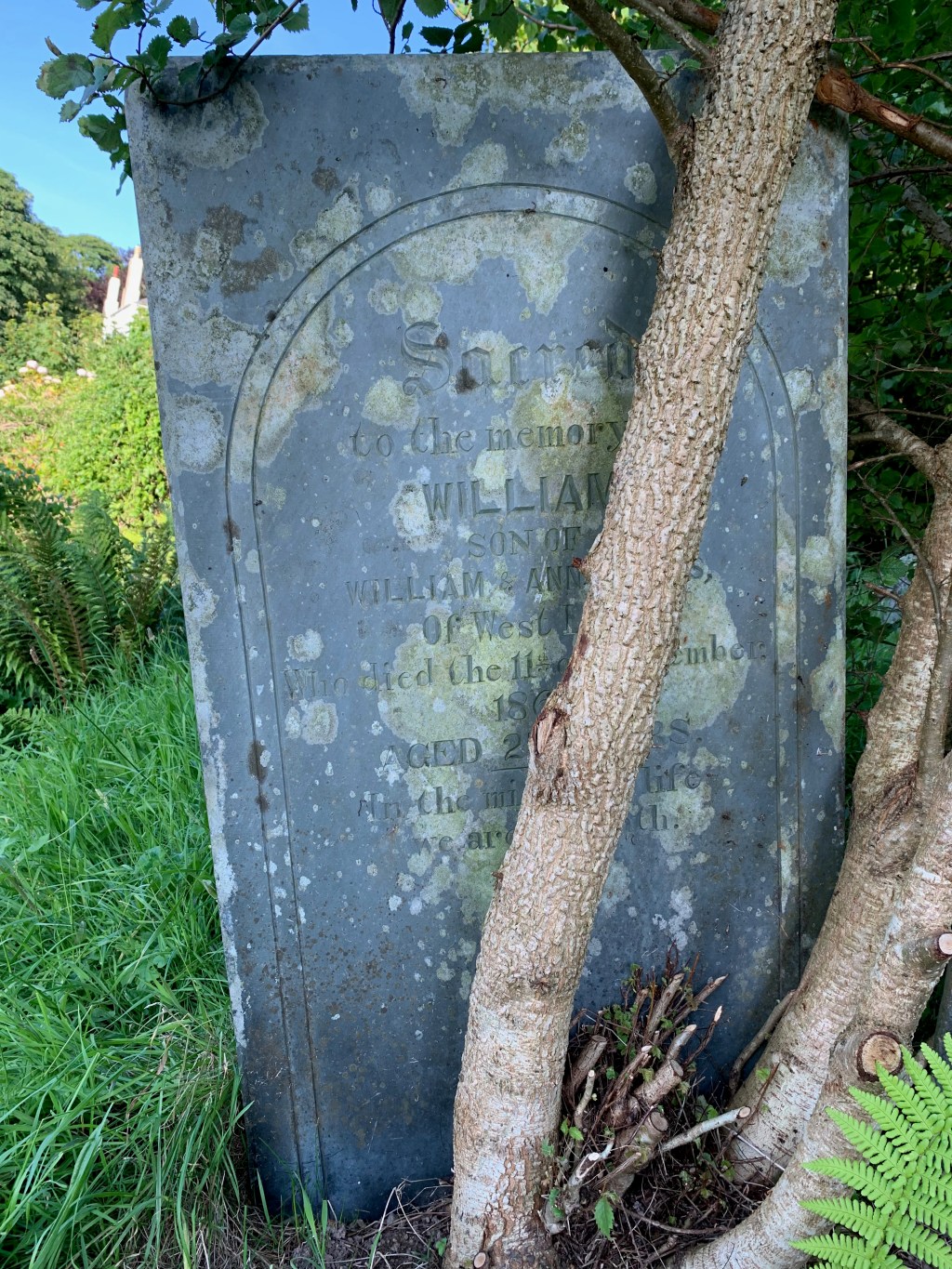 William James 1844-1869