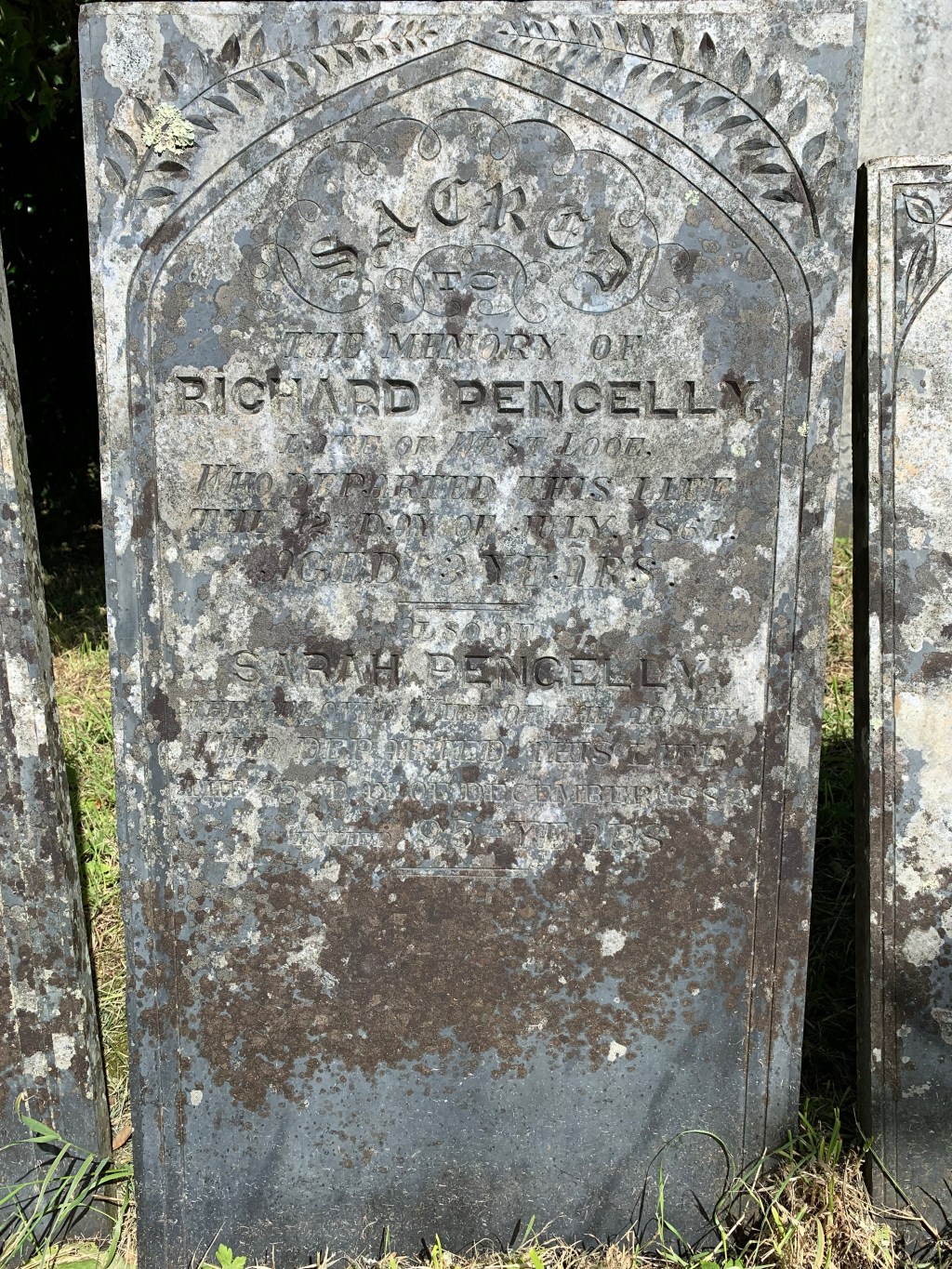 Sarah Pengelly 1787-1882