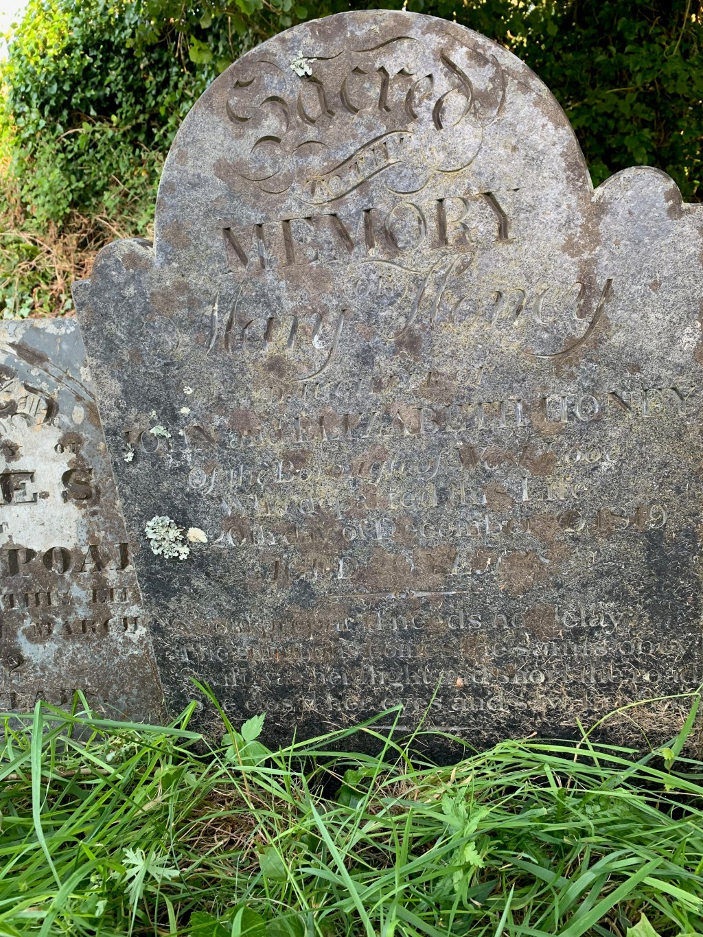 Mary Honey 1799-1819