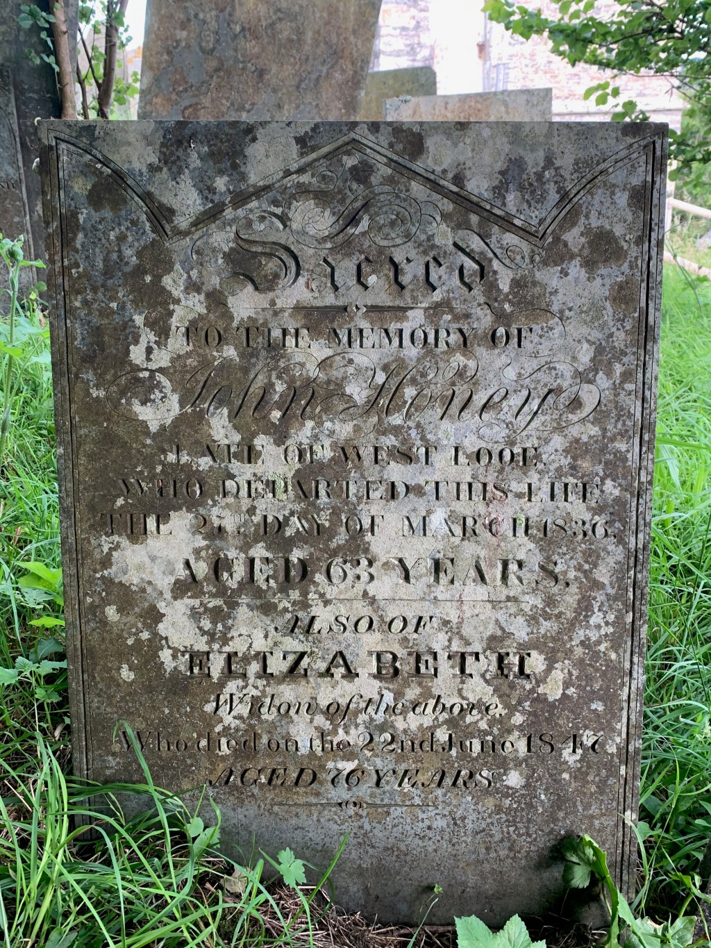 Elizabeth Honey 1771-1847