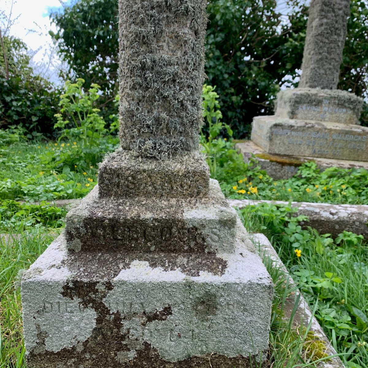 Isaac Willcocks 1820-1884