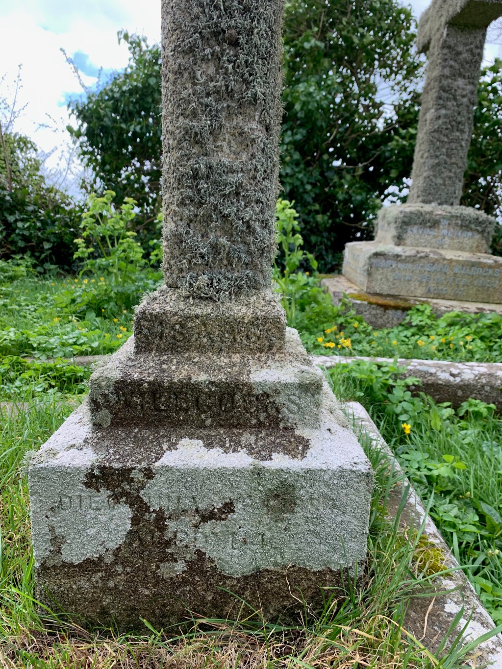 Isaac Willcocks 1820-1884