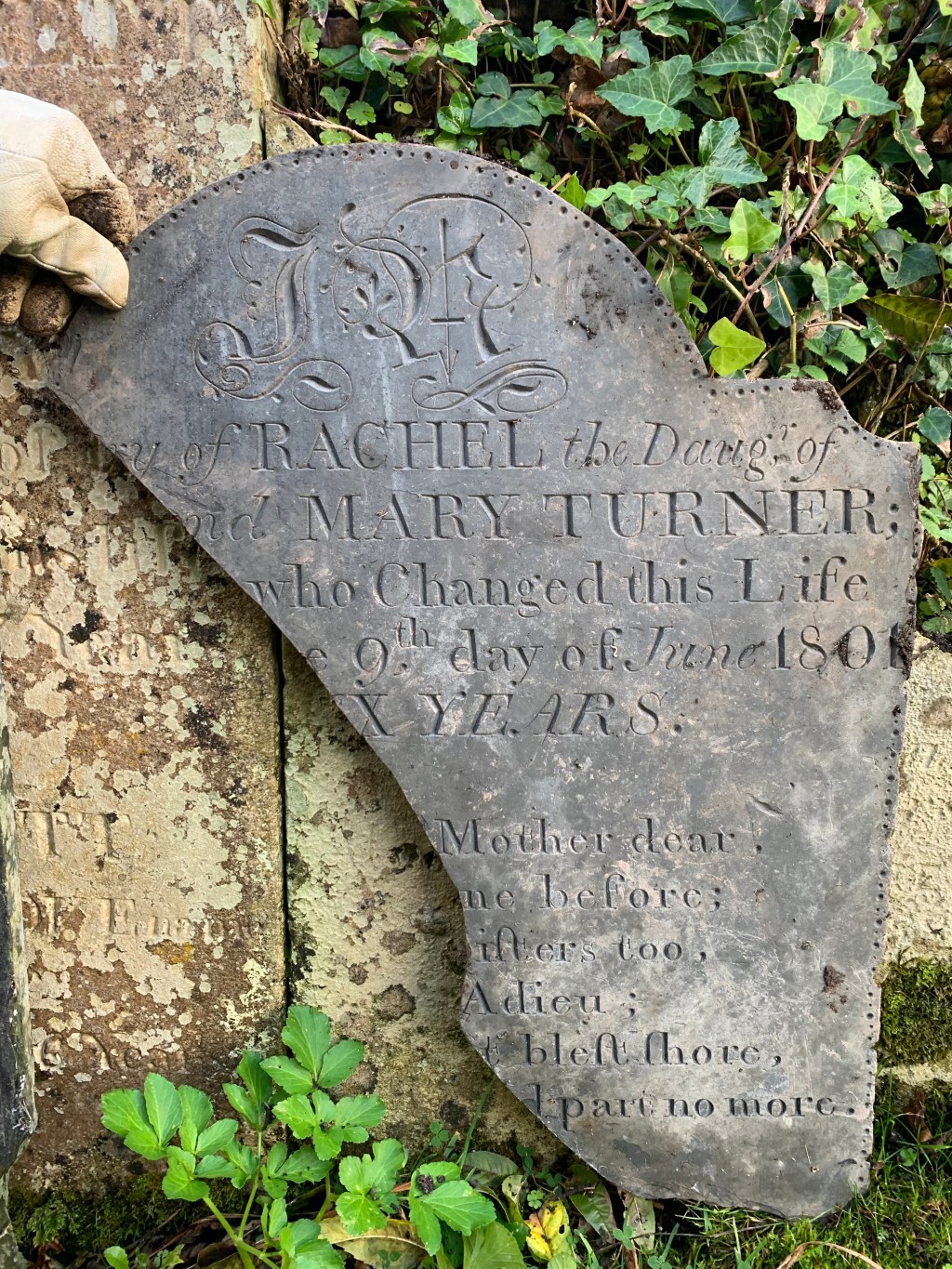 Rachel Turner 1781-1801