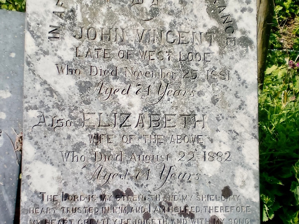 John Vincent 1807-1881